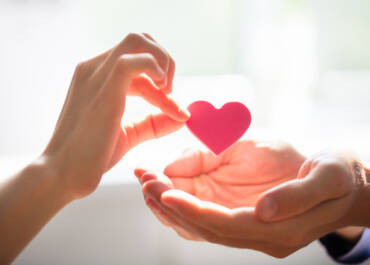 Области на дейност на фондация "Благотворци"